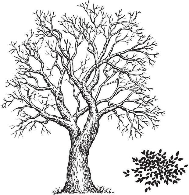 Sarasota Stamps Mounted Rubber Stamp Tree & Foliage